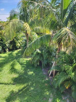 Terrain de l’hébergement
