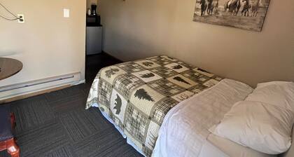 Dakota Landing Cabins & Motel: Room #4-Cozy, newly remodeled motel room