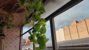 A window with a view of a brick wall and buildings.