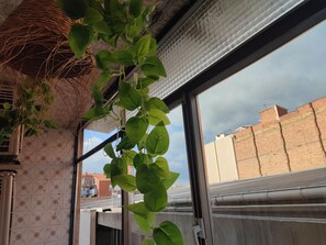 A window with a view of a brick wall and buildings.