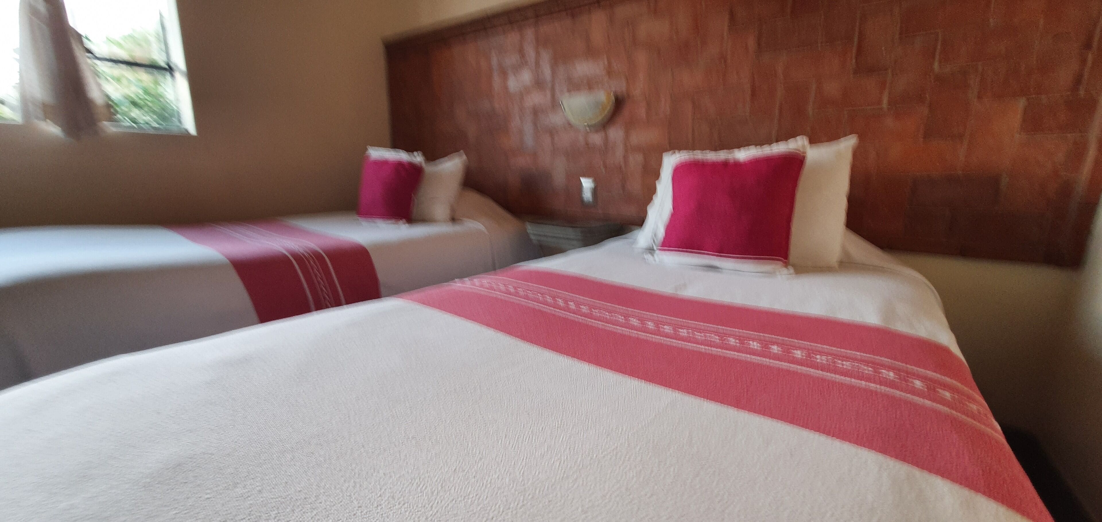 Photo - Rosa Barroco