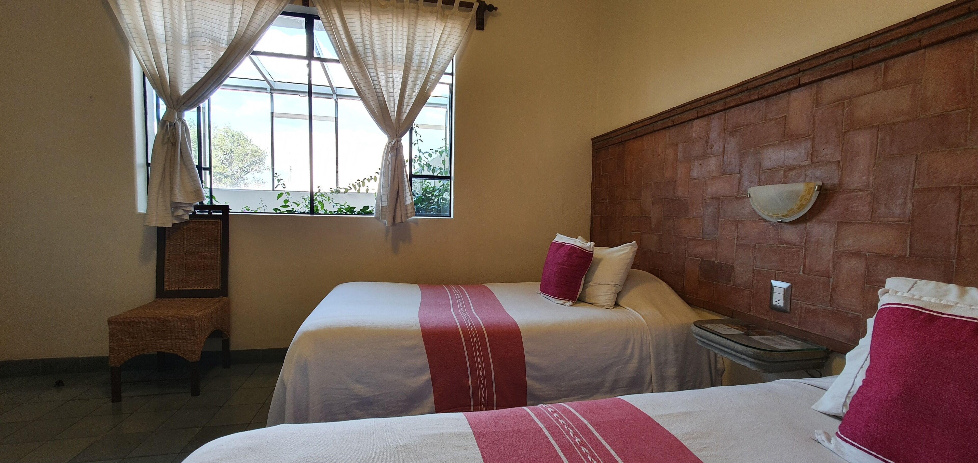 Photo - Rosa Barroco