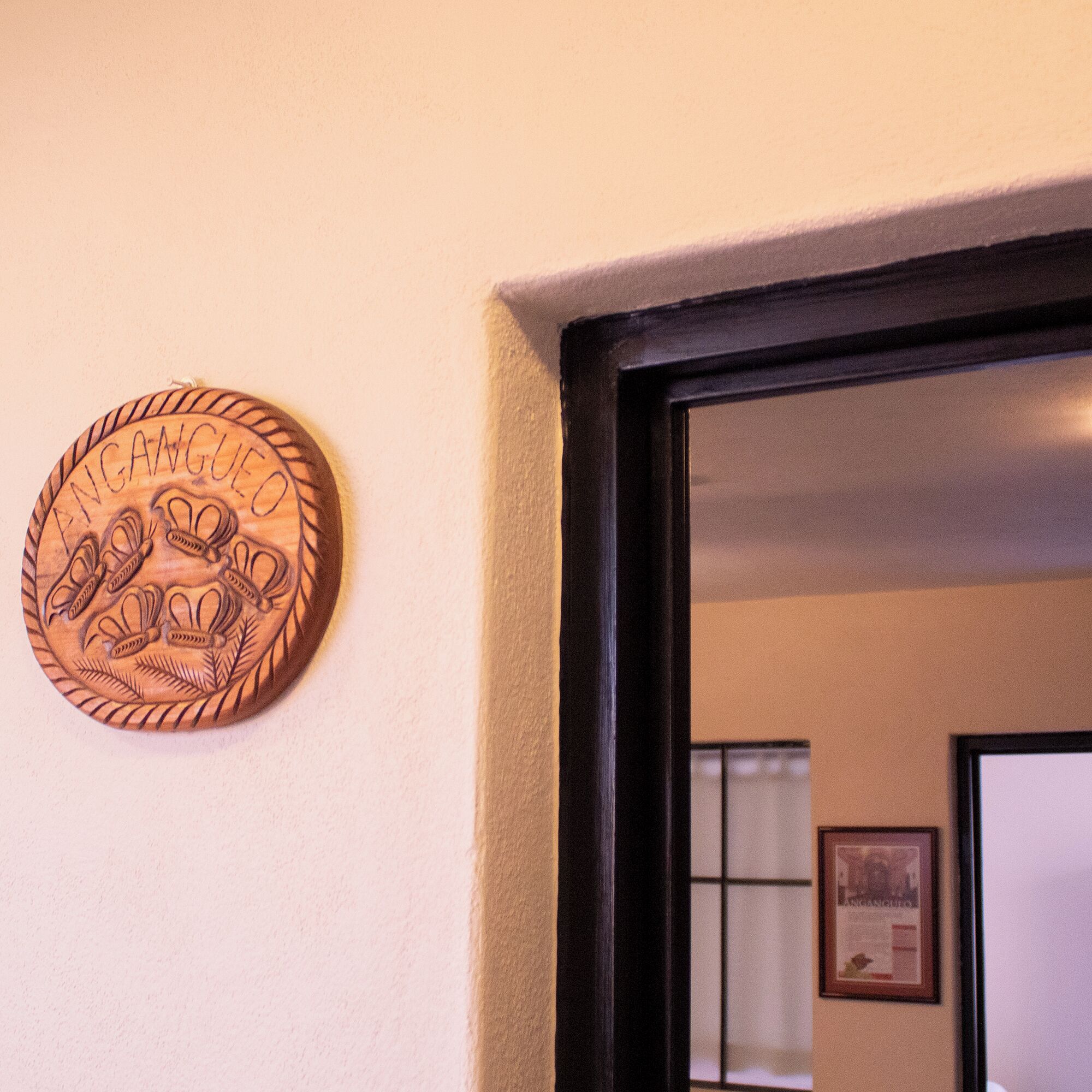 Photo - Rosa Barroco