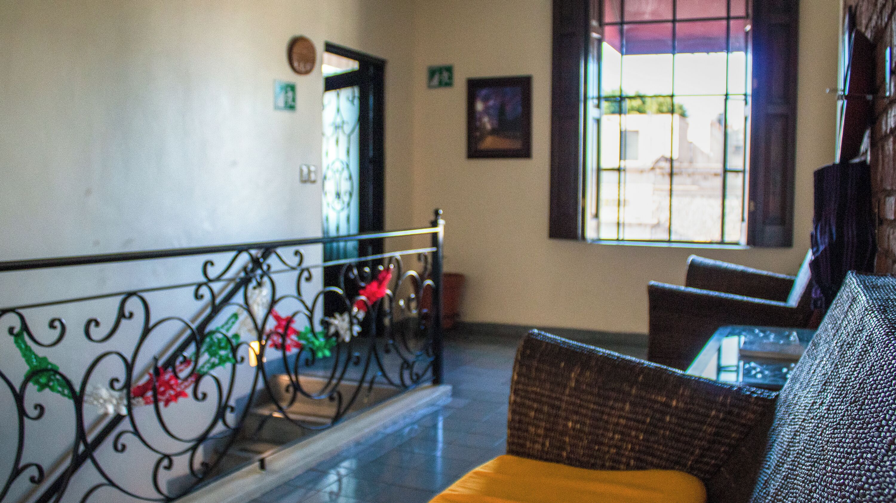 Photo - Rosa Barroco