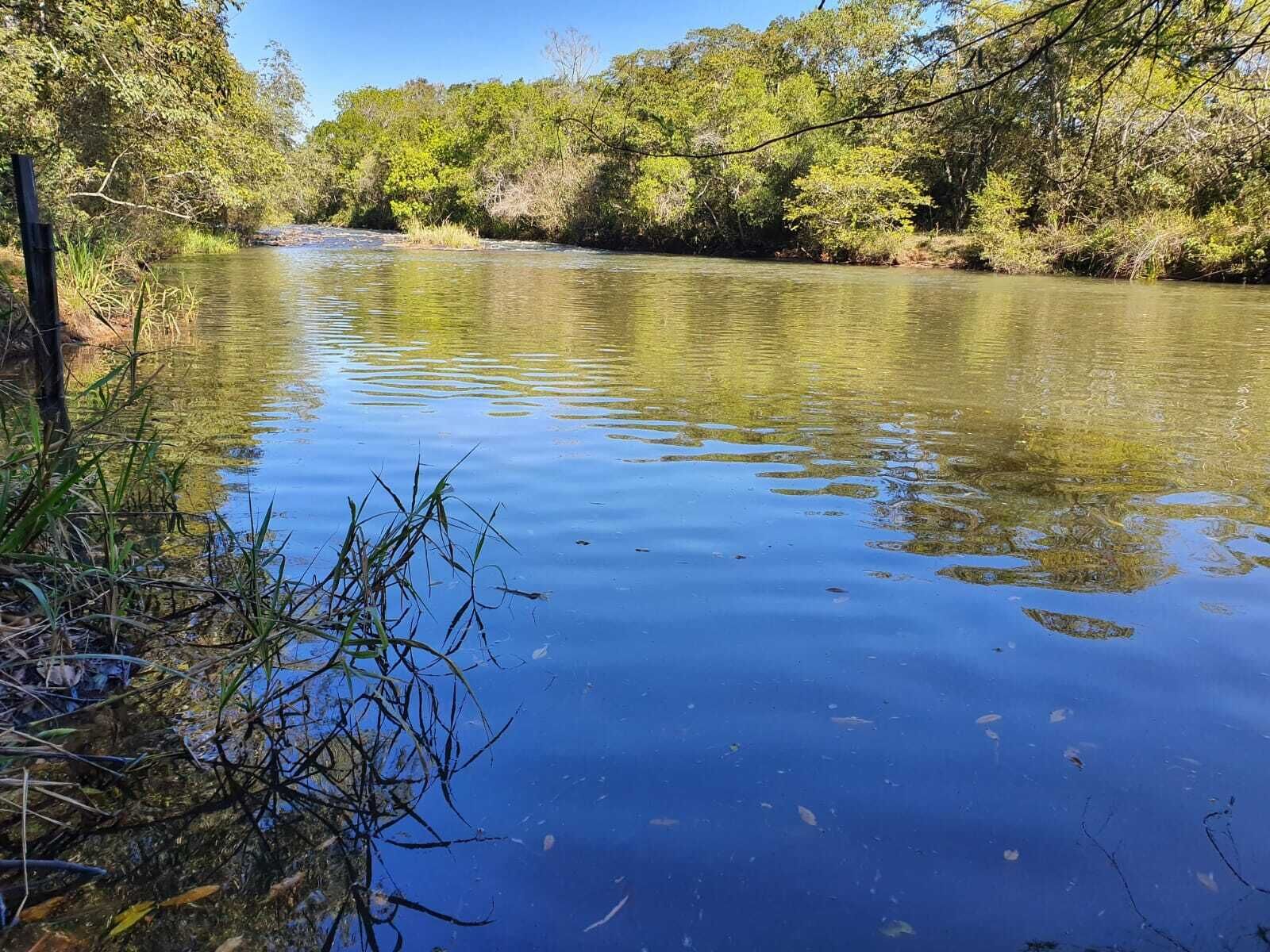 A calm river with dense greenery on both sides.