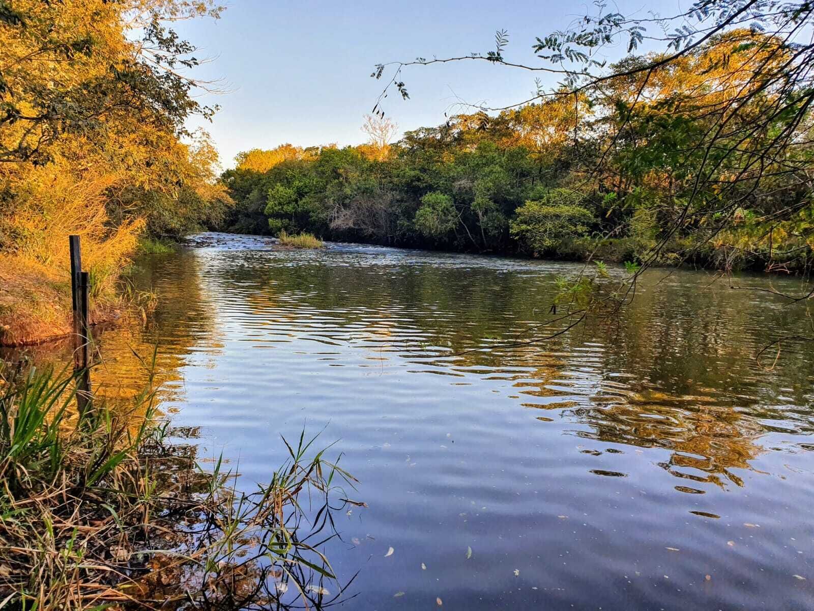 A calm river with dense foliage on both sides.