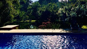 Une piscine à l’eau d’un bleu cristallin, entourée d’une végétation luxuriante et d’arbres.