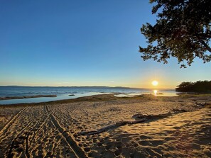 Una spiaggia con tracce di pneumatici e un tronco sulla sabbia.