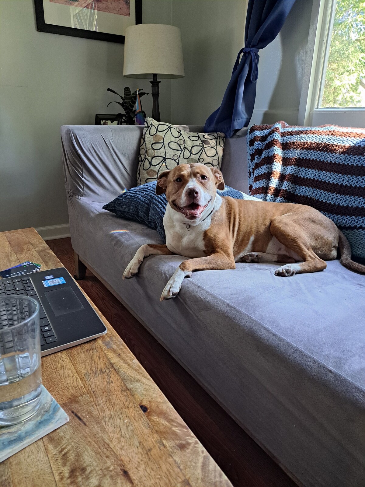 Image de profil de l’hôte