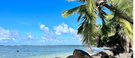 Sun-loungers, beach towels