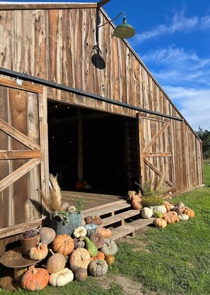 Exterior - The Rustic Barn @ The NEST at Round Top •  6mil to The Square (Round Top)