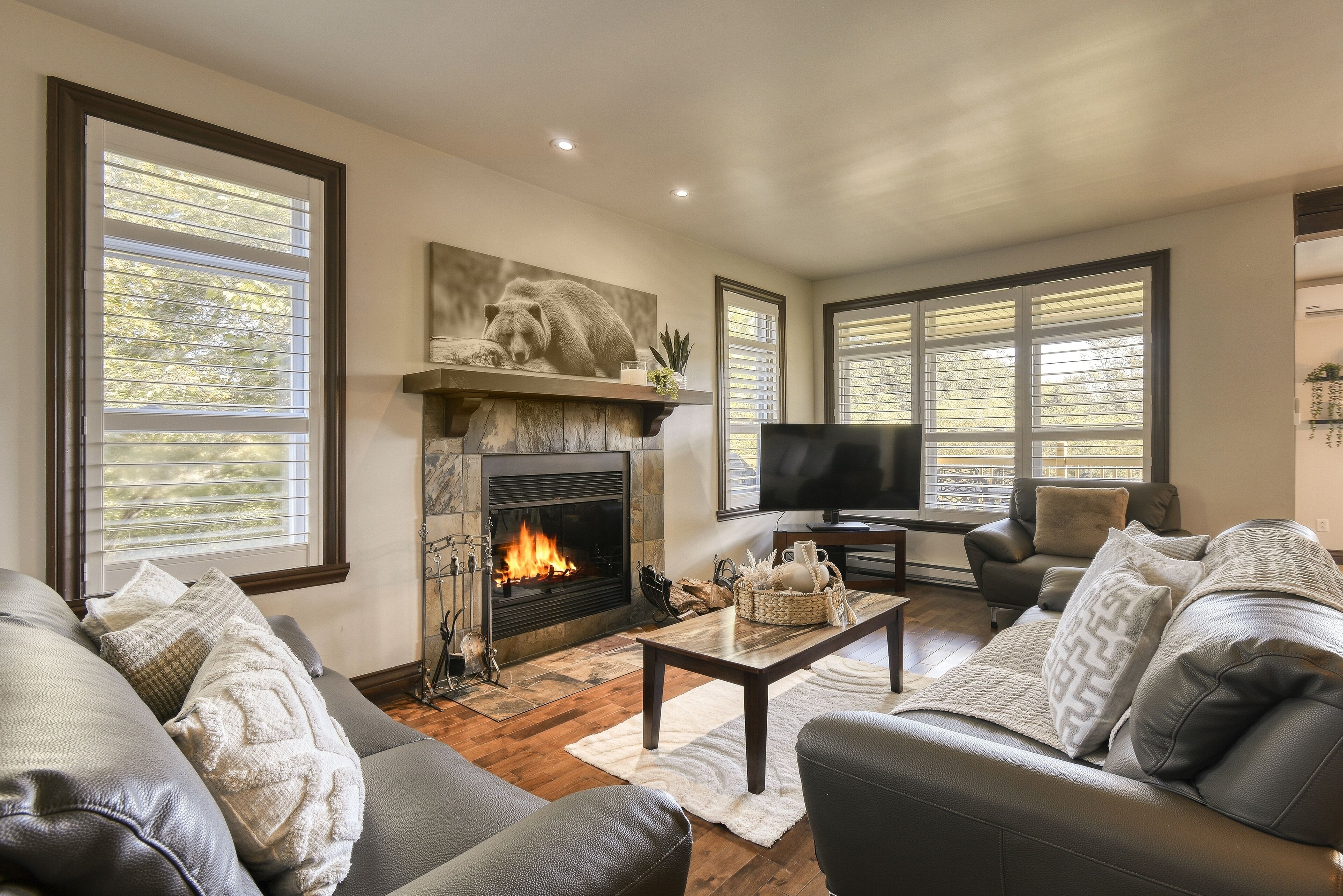 Télévision, cheminée