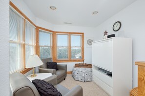 TV, fireplace, DVD player, books