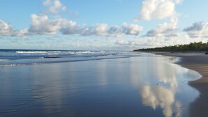 Una playa con aguas tranquilas, cielo despejado y una hilera de árboles a lo lejos.