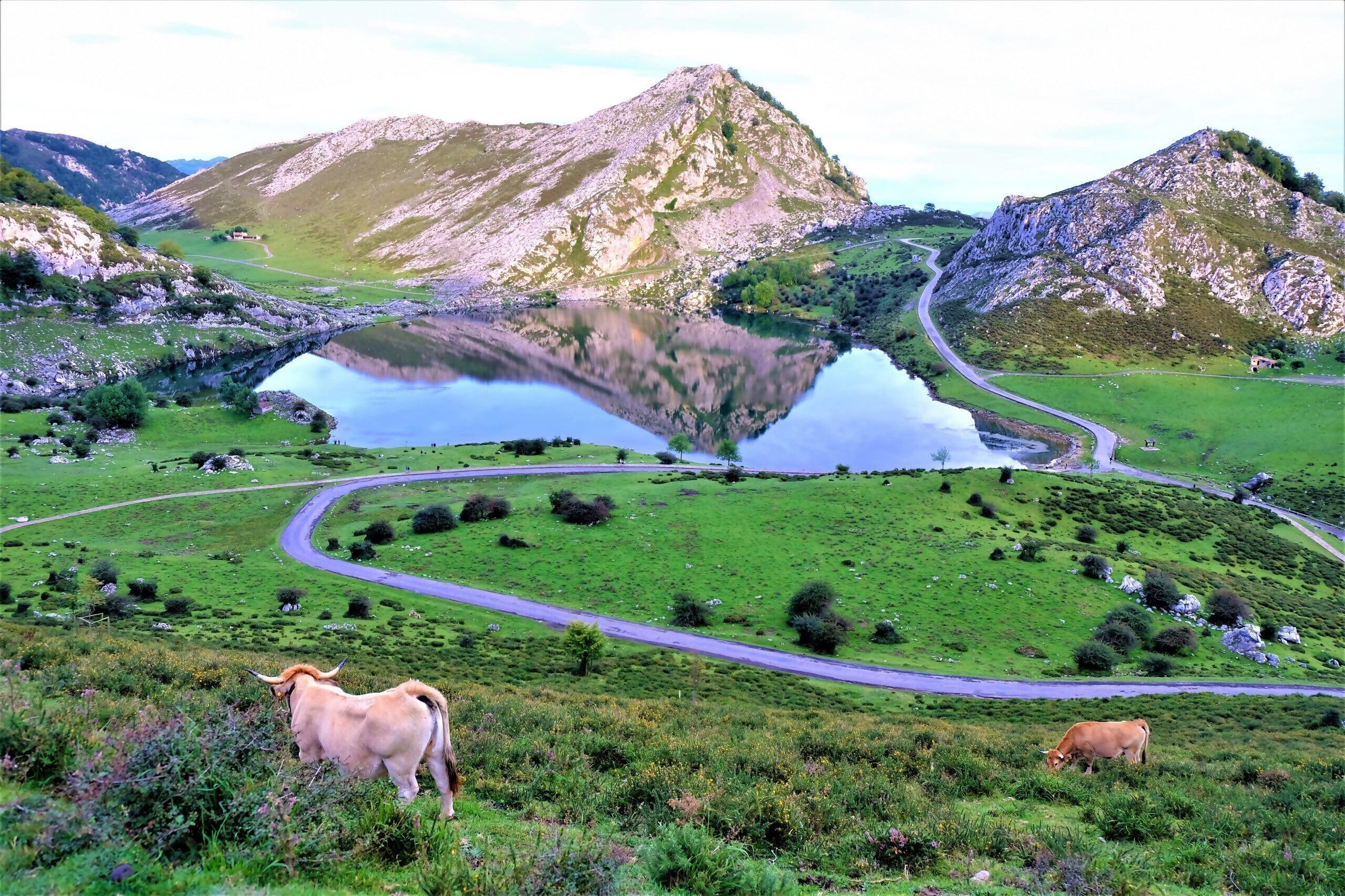 Natural landscape