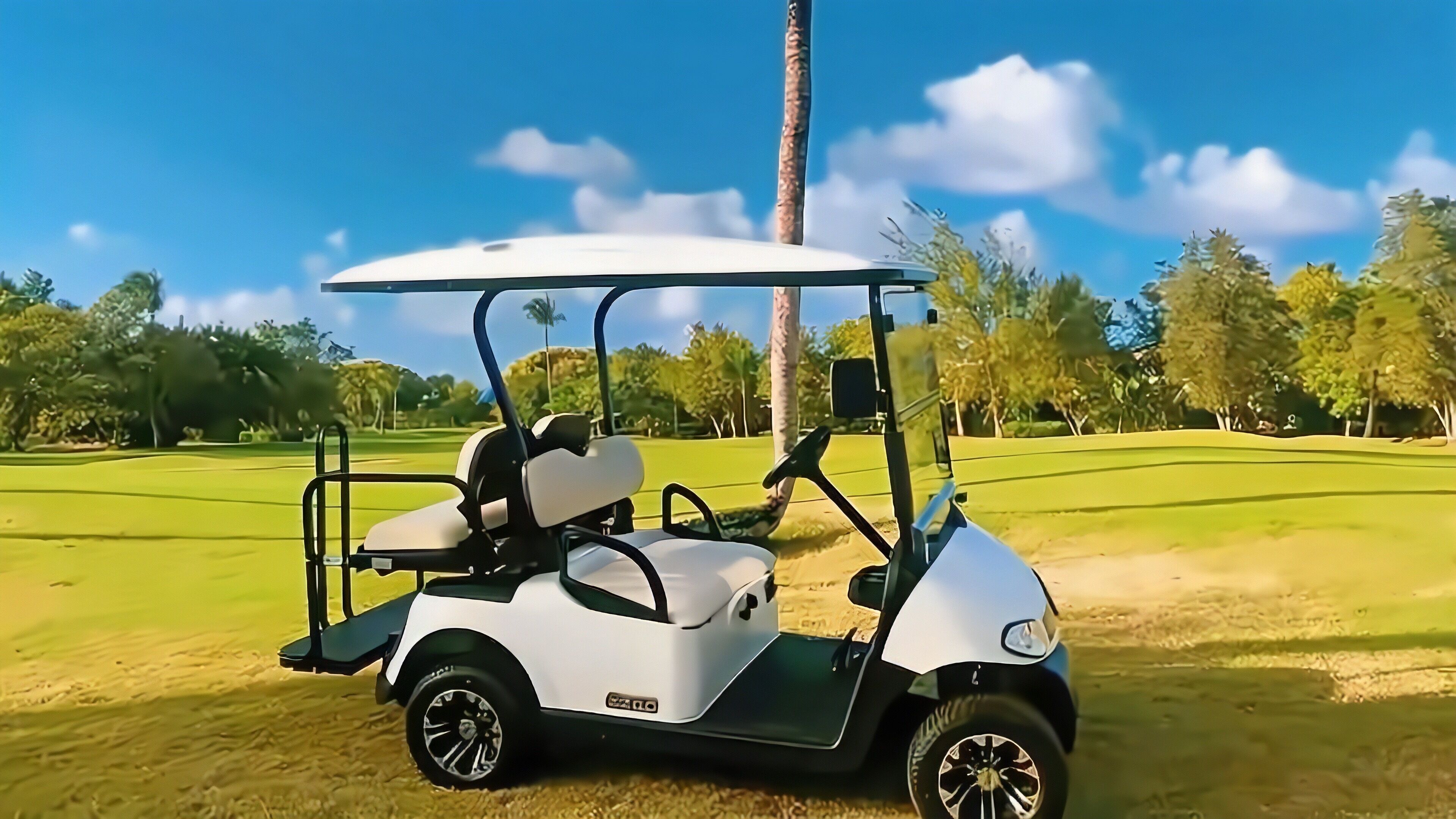 Apartment, 1 Bedroom, Smoking, Balcony | Golf