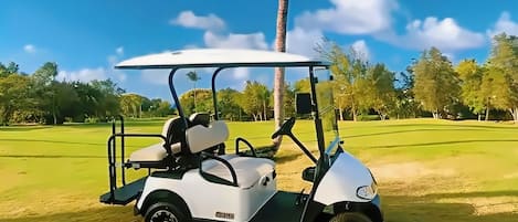 Apartment, 1 Bedroom, Smoking, Balcony | Golf
