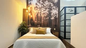 1 chambre, fer et planche à repasser, Wi-Fi, draps fournis