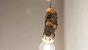 Two pendant lights with clear glass globes, mounted on a rustic wooden branch.