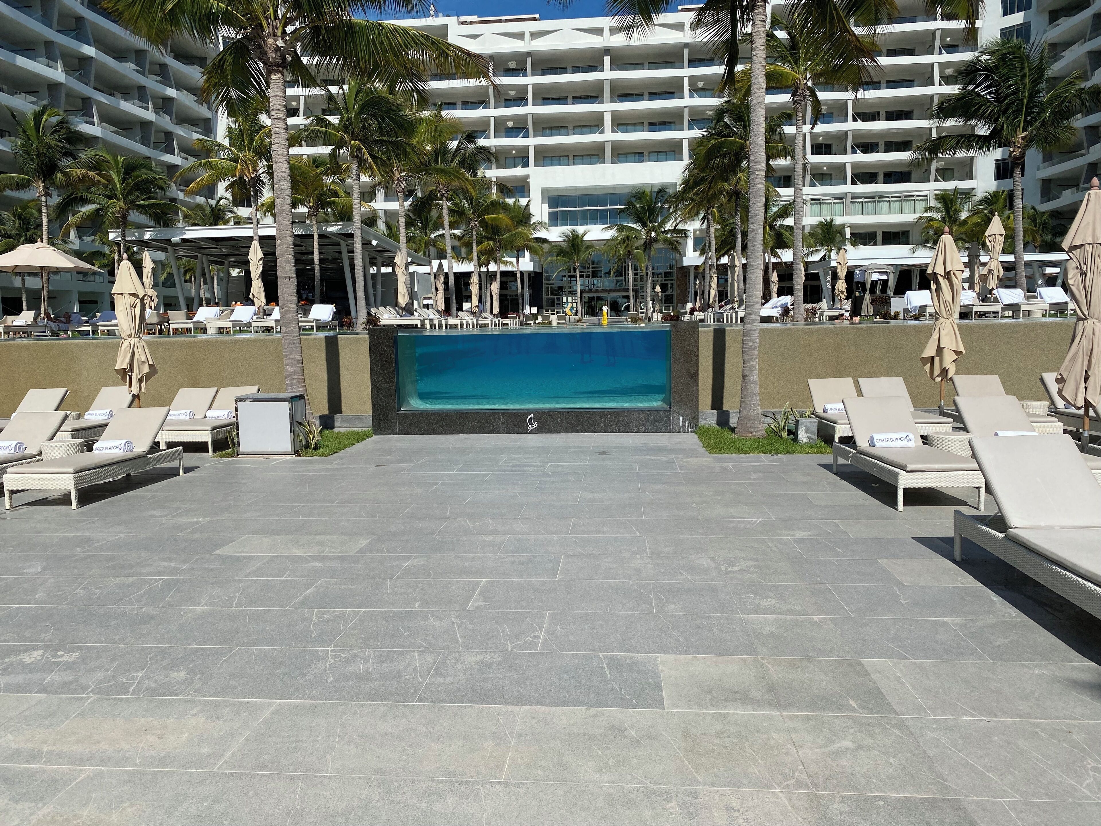 A hotel pool area with lounge chairs and umbrellas, surrounded by palm trees and a multi-story building.