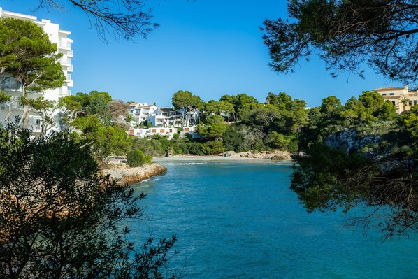 A coastal area with buildings, trees, and a clear blue sea.