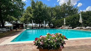 A rectangular swimming pool with a tiled edge, surrounded by lounge chairs and umbrellas, with a potted plant in the foreground. - Holiday Home 'Il Forcone' with Shared Pool, Wi-Fi and Air Conditioning (Panicale)