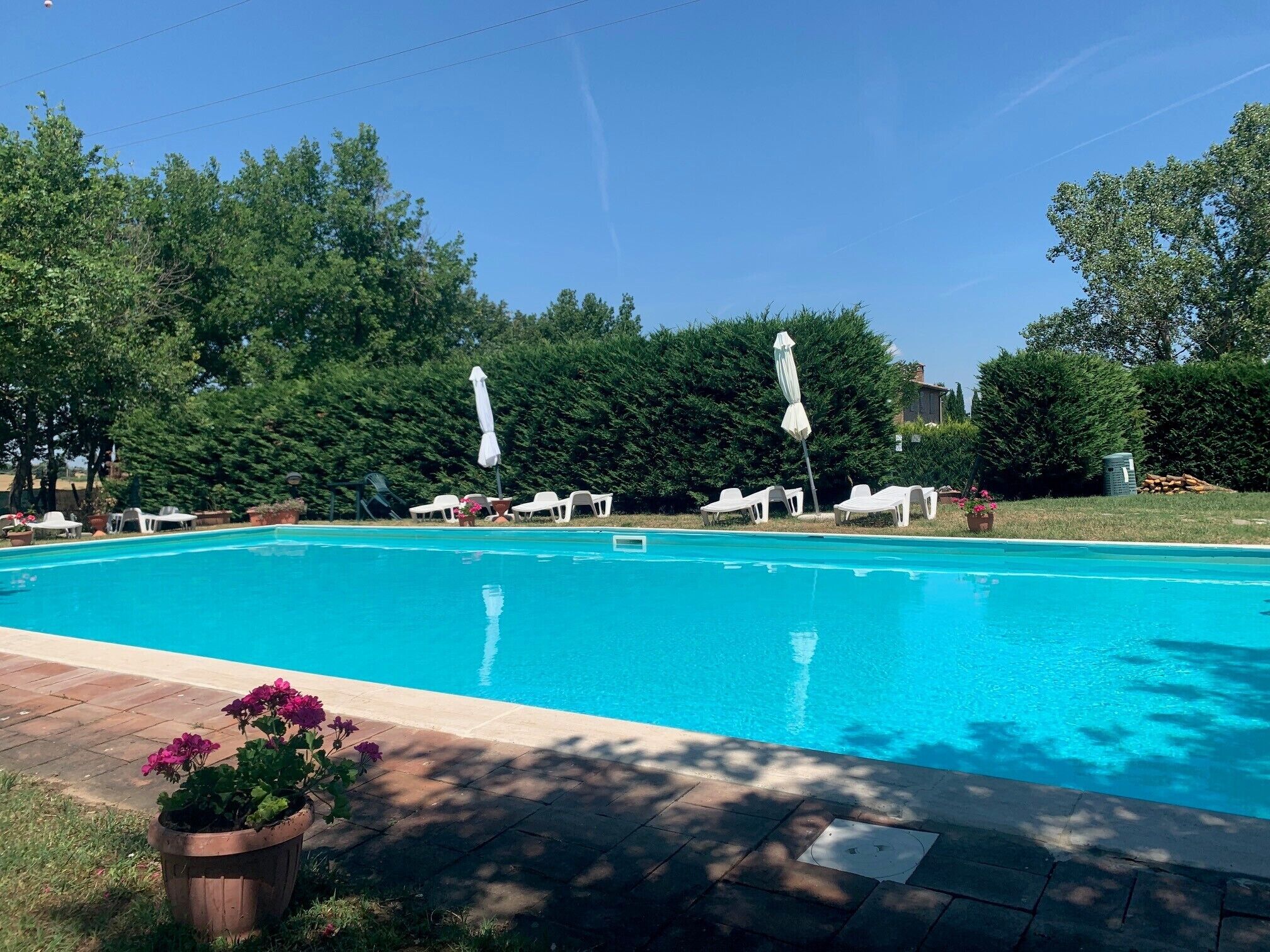 A swimming pool with lounge chairs and umbrellas, surrounded by trees and a brick patio.