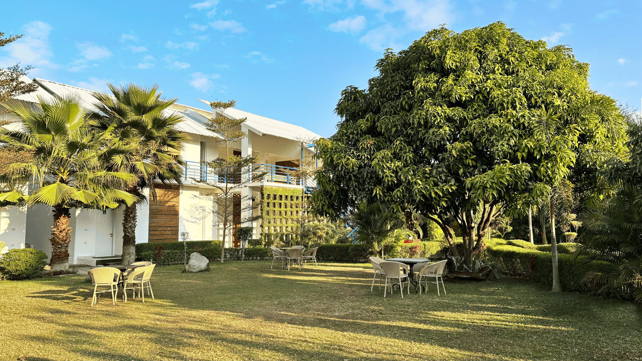 A hotel courtyard with outdoor seating, palm trees, and a large tree providing shade.
