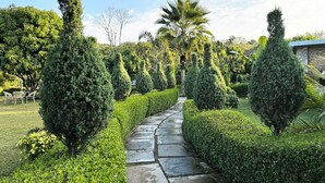 Un jardín bien cuidado con un sendero de piedra, setos ordenados y una variedad de árboles.