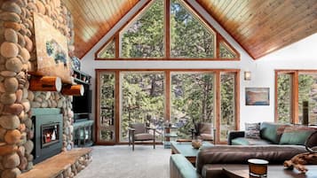 Televisión y chimenea