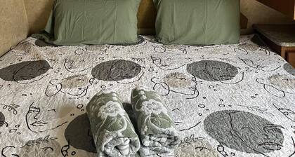 Comfortable Guest RV w/EV charger. Semi Rural Area