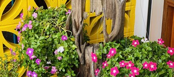 Saturday Night Market at doorstep|300m to Old Town |Family-friendly