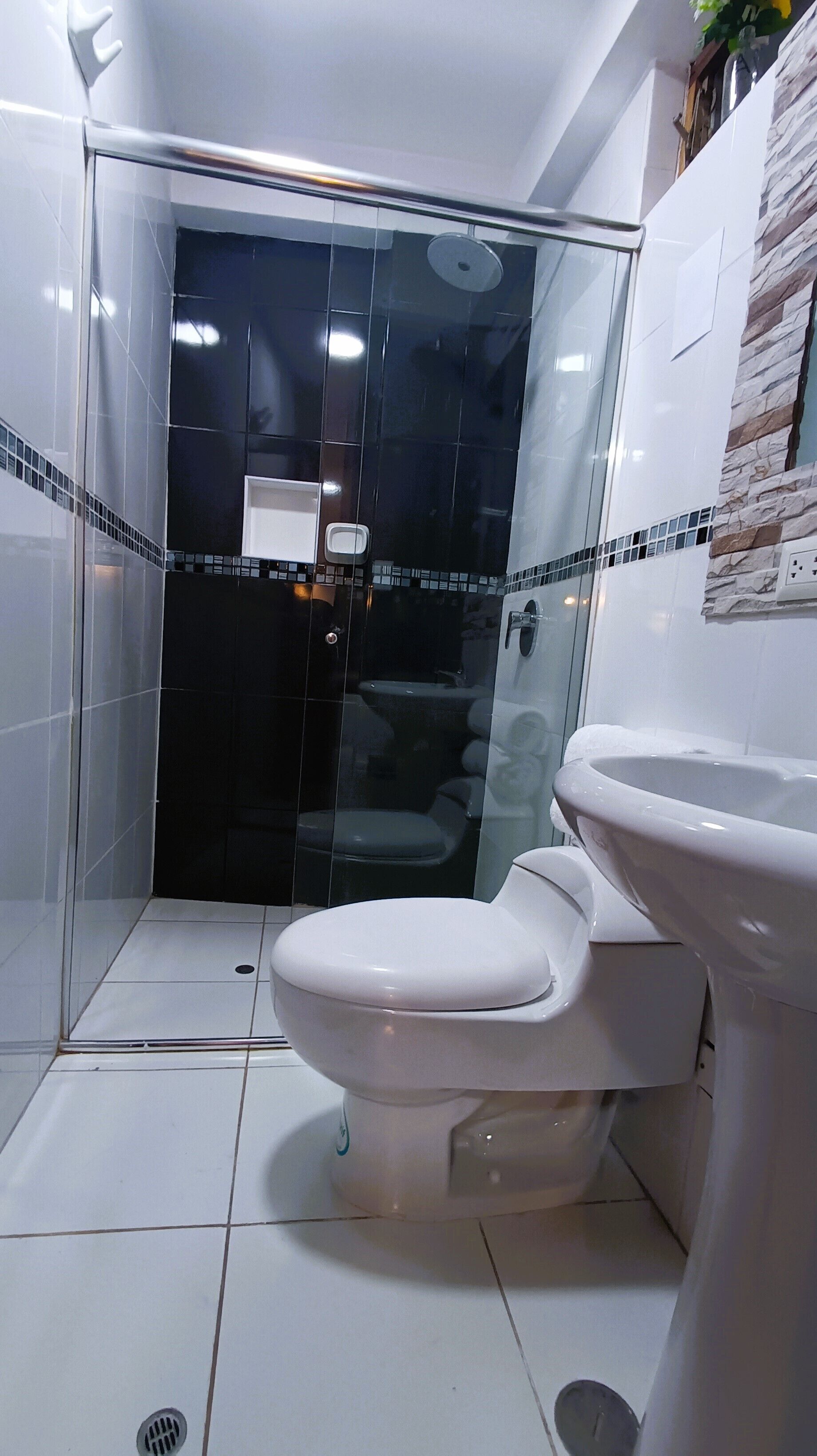 Een badkamer met een douche met glazen wand, een wit toilet en een wastafel.