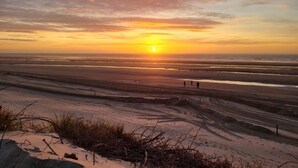 Une plage au coucher du soleil, sous un ciel dégagé.