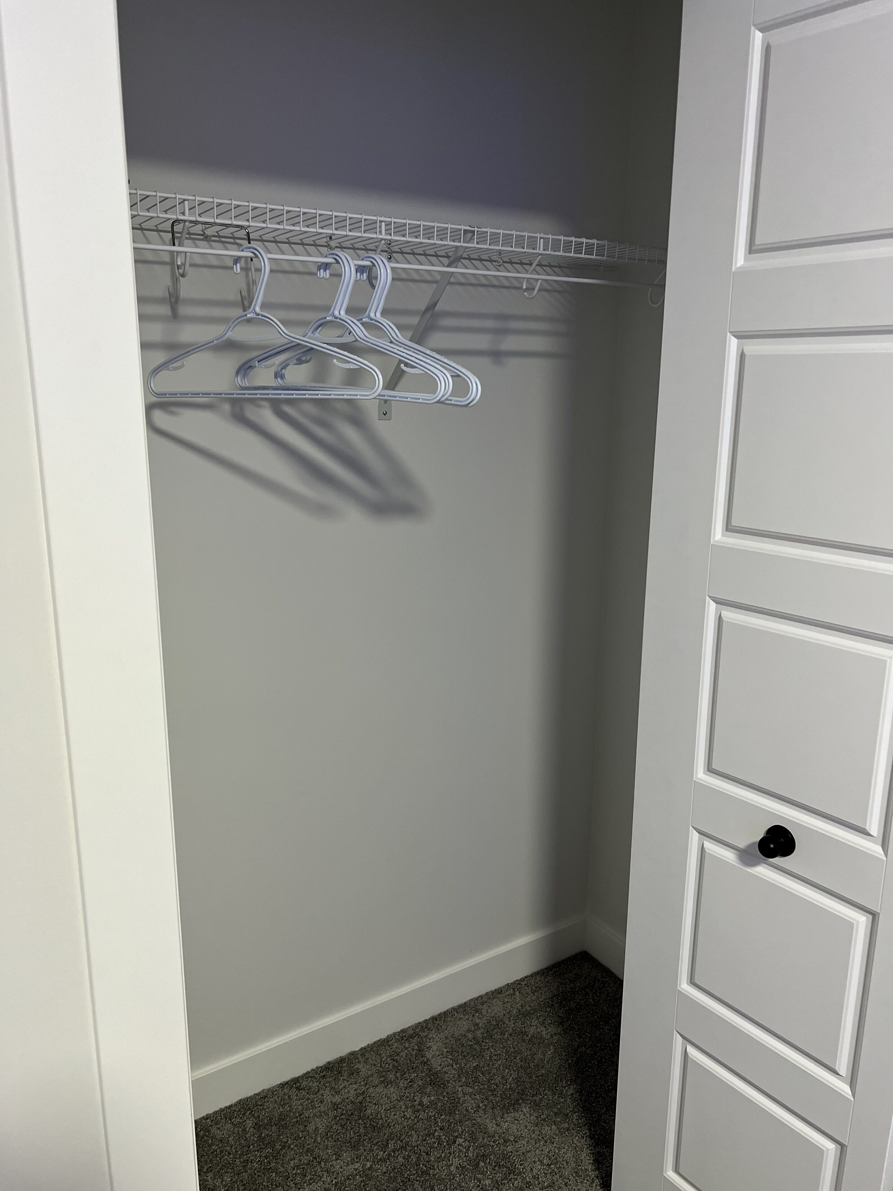 A closet with a white door, a metal hanger rack, and a gray carpet.