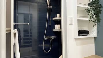 Shower, hair dryer, bidet, towels