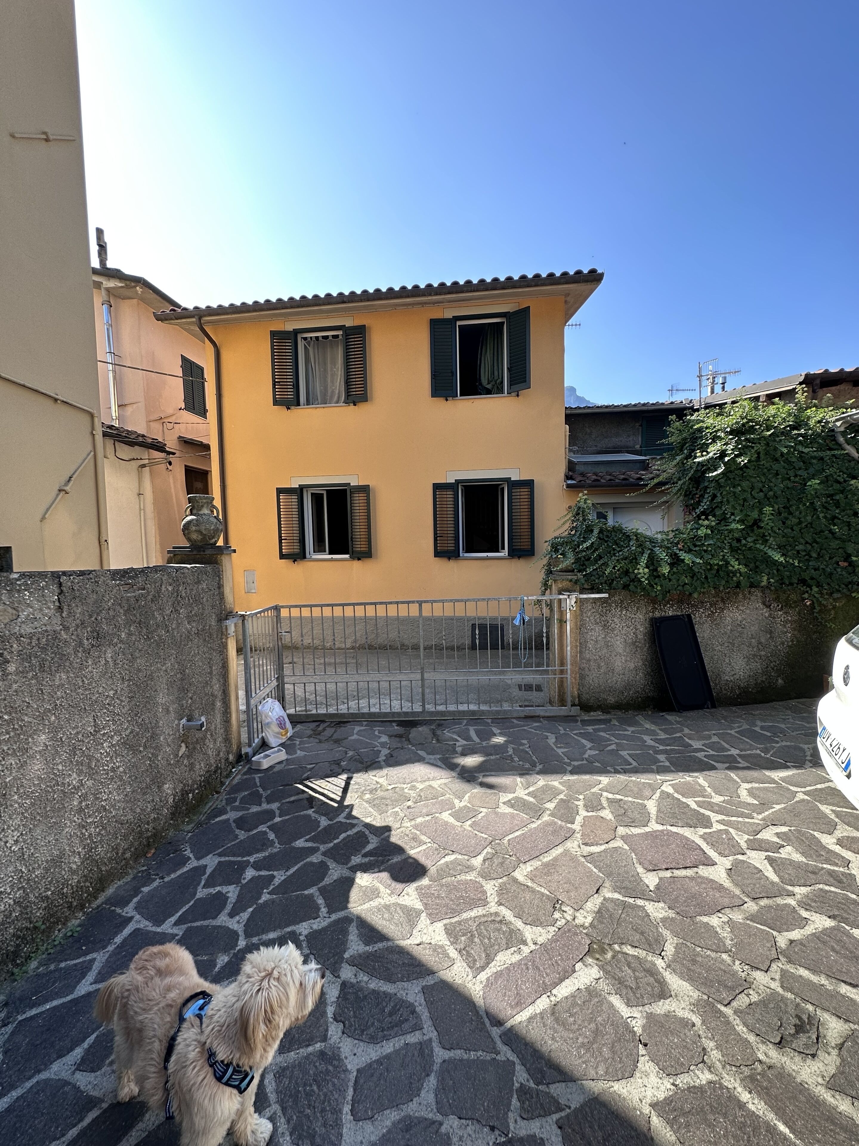 A stone-paved courtyard with a yellow building, a dog, and a white car.