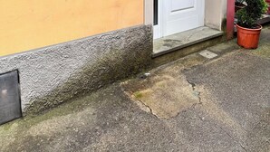 Een gebouw met een witte deur, een klein raam met groene luiken, een deurbel en een potplant.