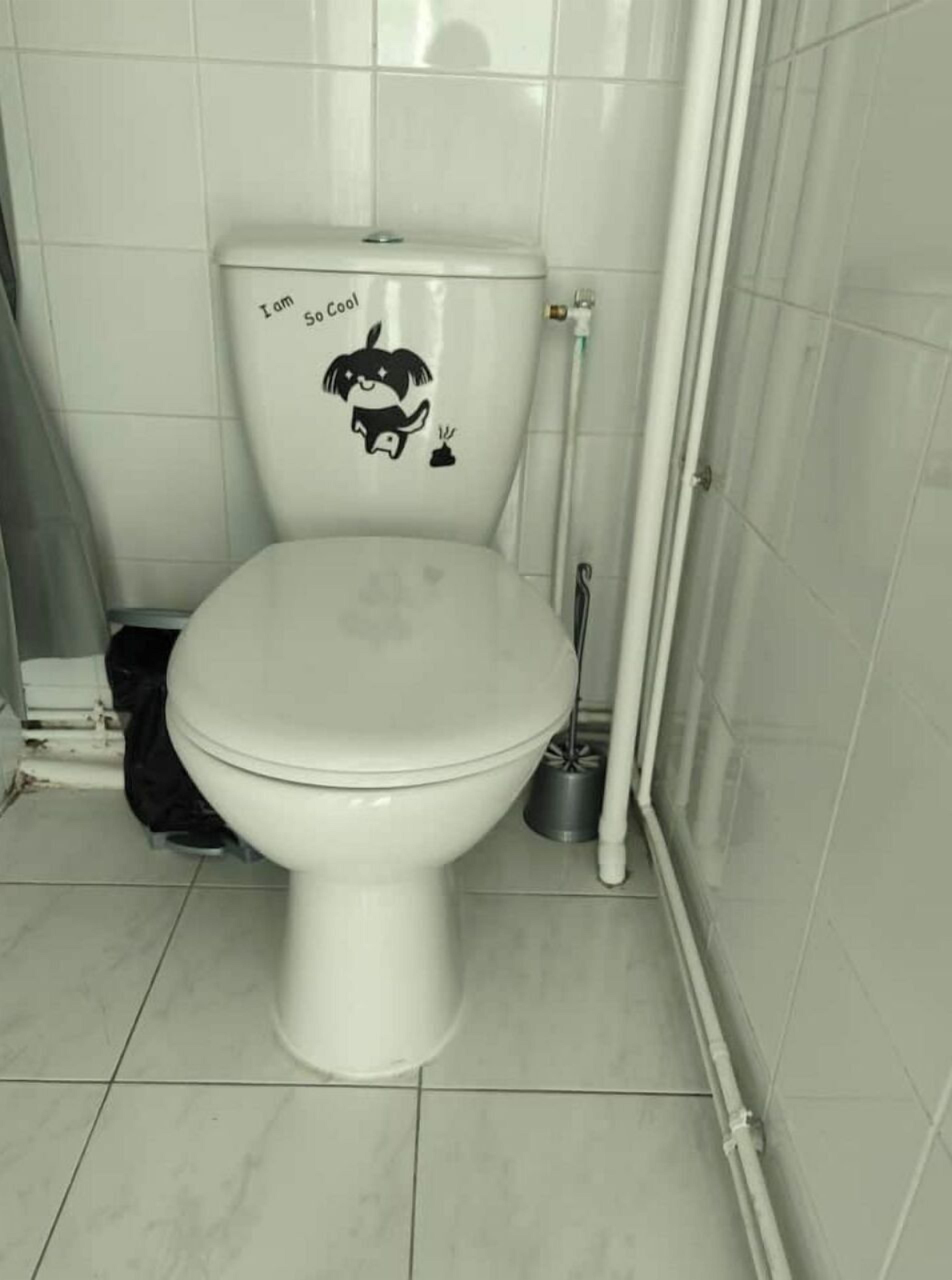 Towels, toilet paper