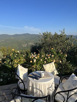 Ein Tisch mit weißer Tischdecke und floralen Kissen, vor einer Kulisse aus blühenden Blumen und einer Berglandschaft.