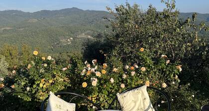 Cosy private home in Medieval Village, with large terrace, pool and garden