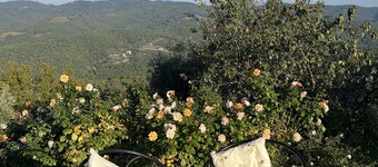 Cosy private home in Medieval Village, with large terrace, pool and garden