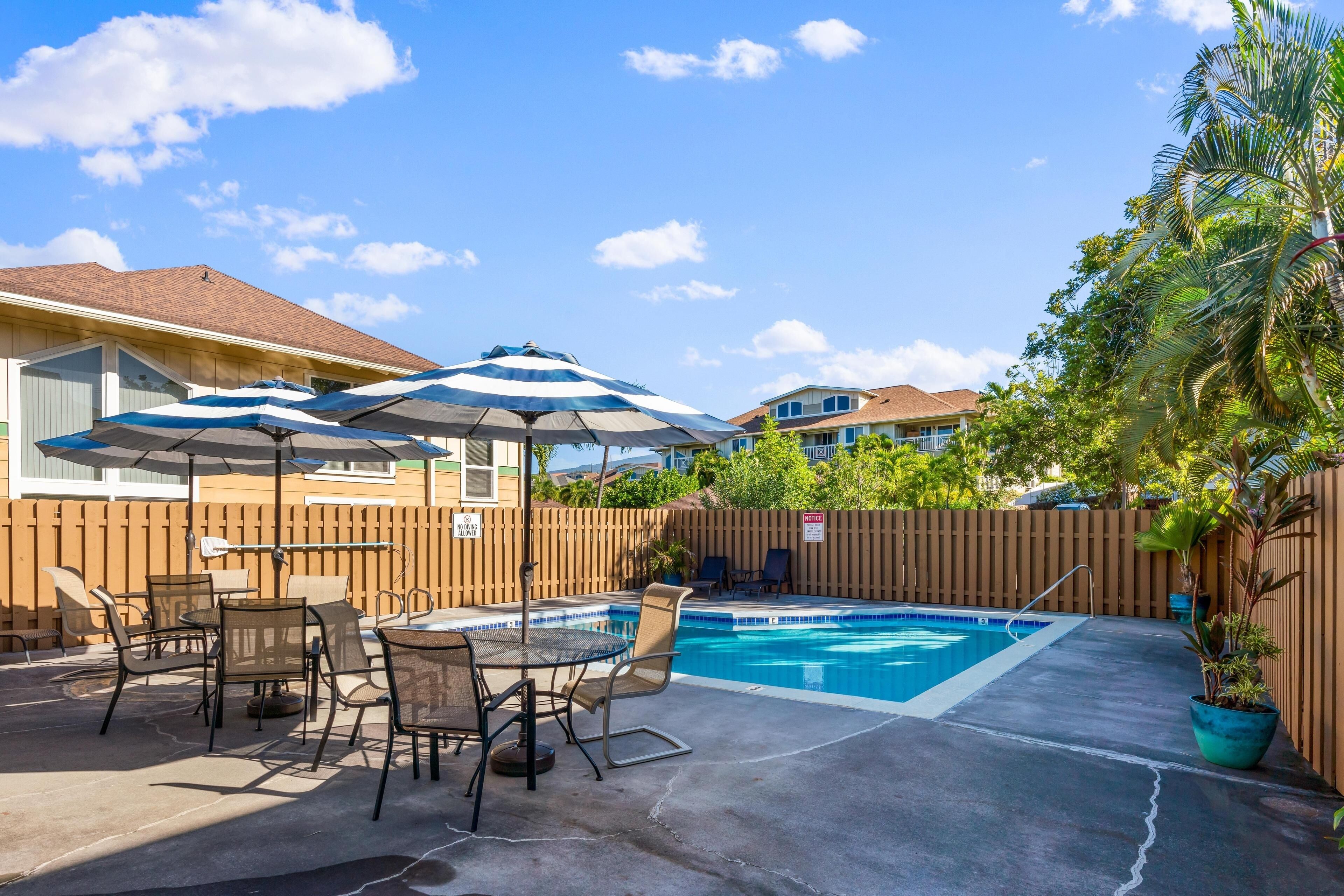 A backyard with a swimming pool, patio furniture, and umbrellas.