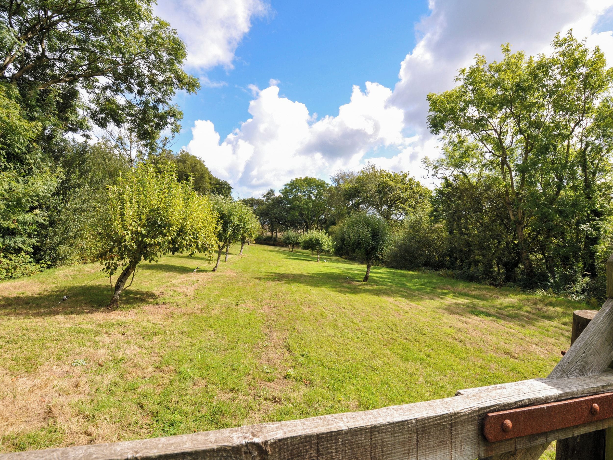 A grassy field with trees and a wooden fence.