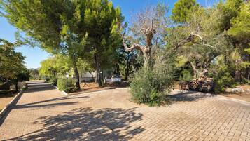 Àrea exterior de l'allotjament