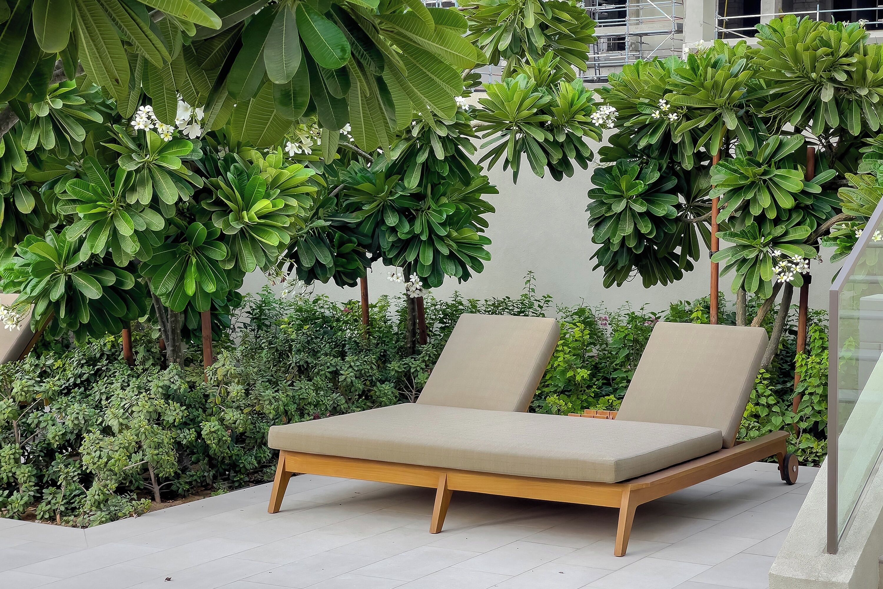 Un área lounge al aire libre y moderna, con un banco de madera y un asiento acolchado, rodeada de abundante follaje y plantas.