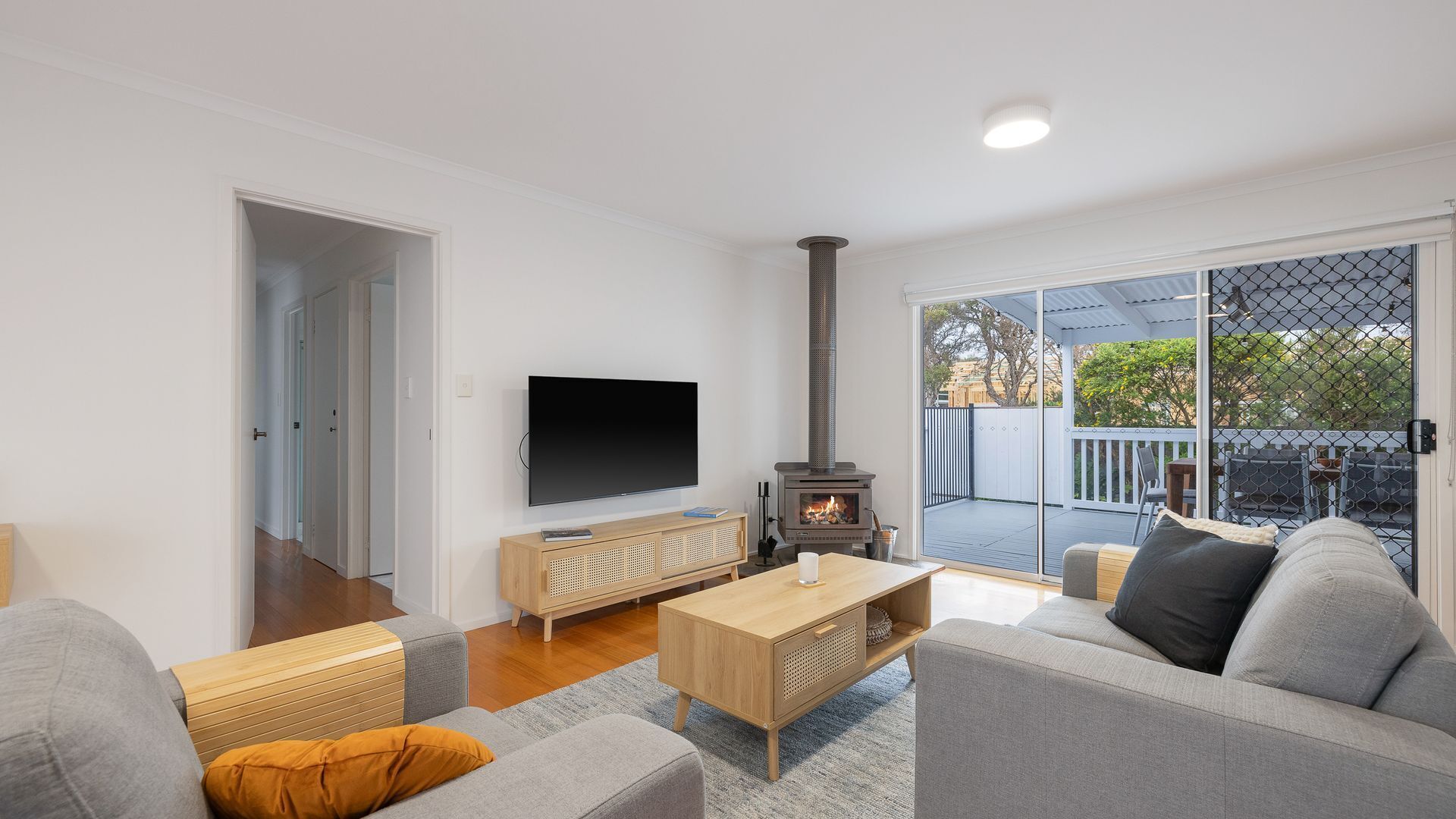 TV, fireplace, books