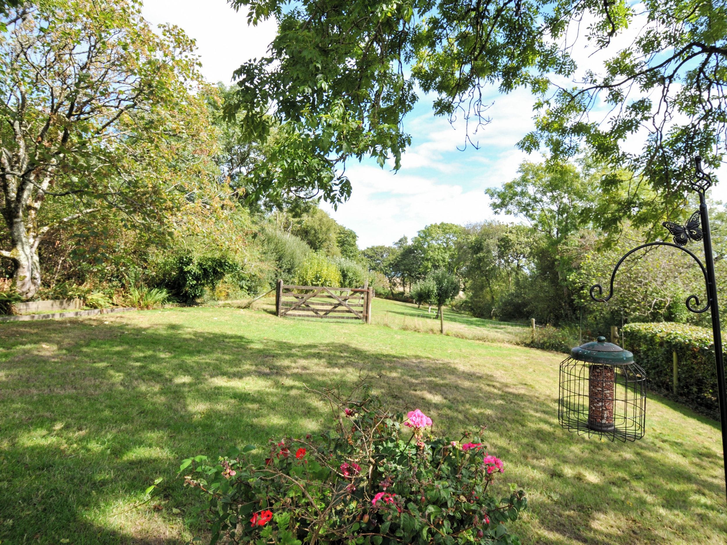 A garden with a wooden gate, a bird feeder, and a butterfly feeder.