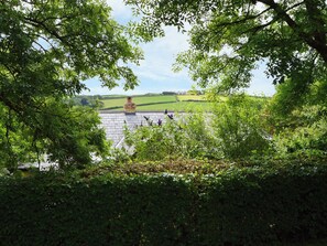 Property grounds - Barley Cottage (Bideford)