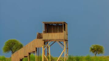 A wooden observation tower with a platform and a viewing area, surrounded by grass and trees.